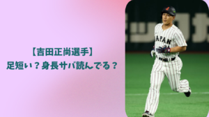 吉田正尚　足短い　アイキャッチ