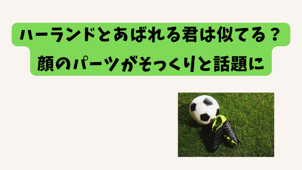 ハーランド　あばれる君　アイキャッチ